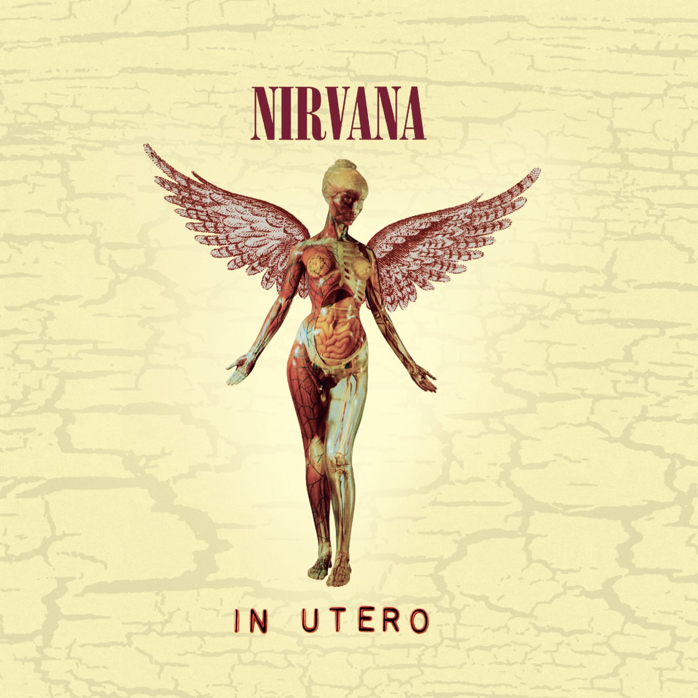 Nirvana - In Utero - The Blacklist Store